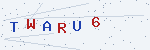 CAPTCHA verification code